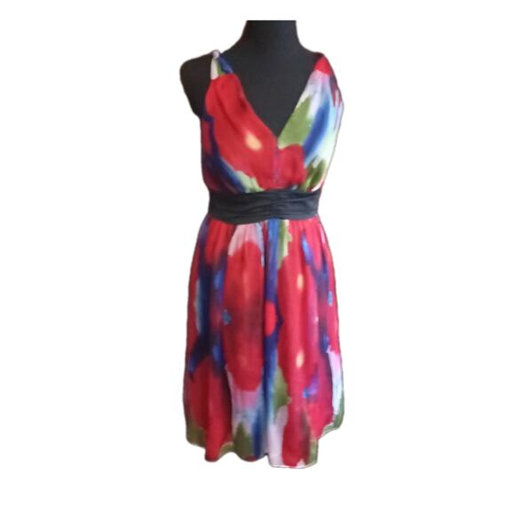 The Limited Empire Waist Dress Watercolor Tie Dye Red Poppy Floral Chiffon Sz 4 - Picture 1 of 11